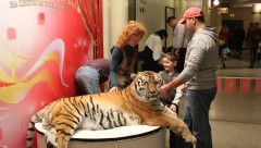 В Цирке Никулина на Цветном Бульваре