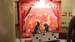 В Цирке Никулина на Цветном Бульваре