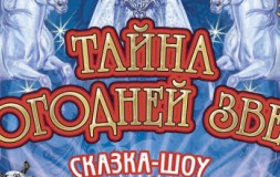 Тайна новогодней звезды